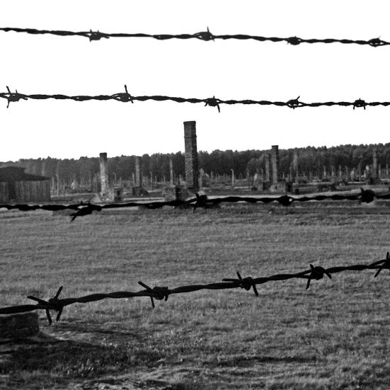 Auschwitz II-Birkenau, Polen