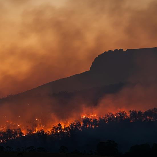 Skovbrande ved Stacks Bluff, Tasmanien, Australien